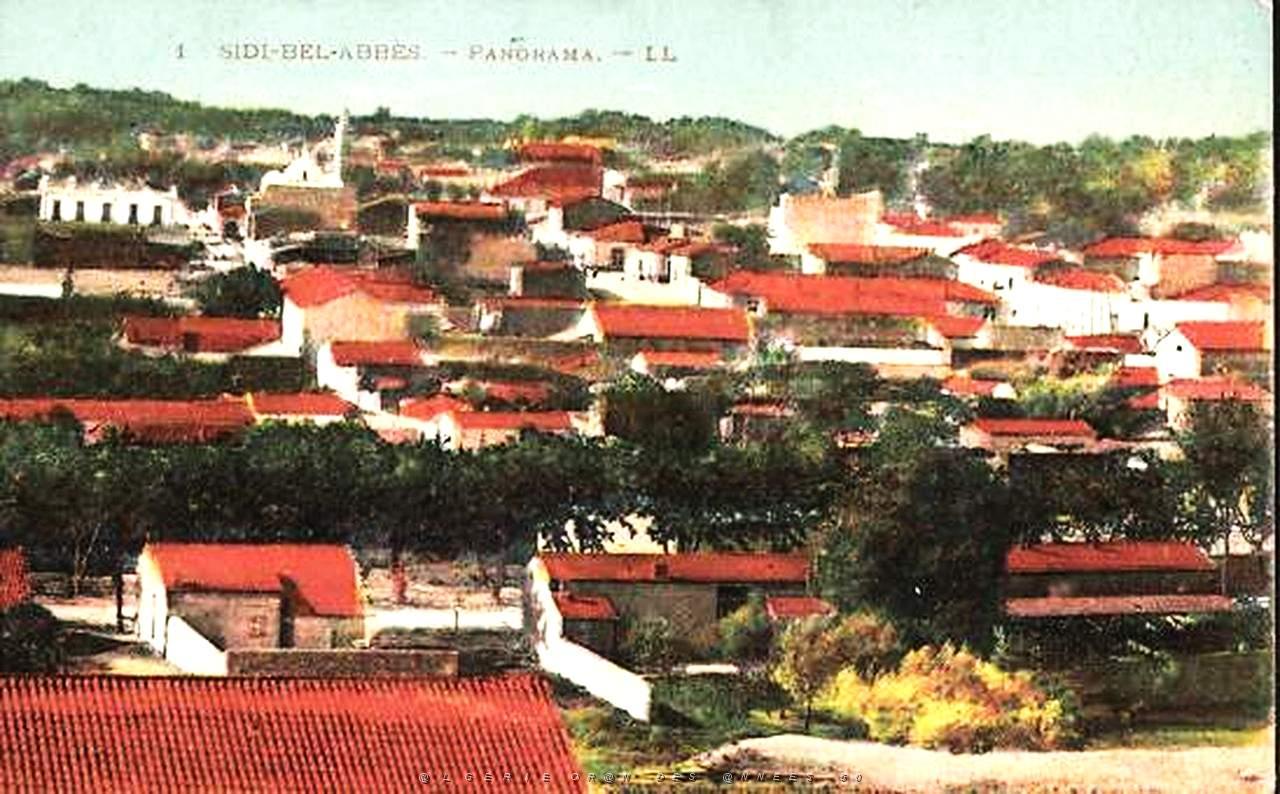 Sidi bel abbes 391.jpg